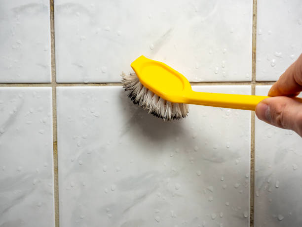 Best DIY Mold Remediation Support Services in Doney Park, AZ