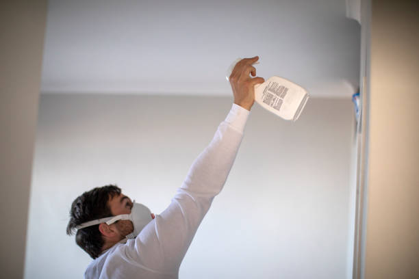 Best Kitchen Mold Remediation in Doney Park, AZ