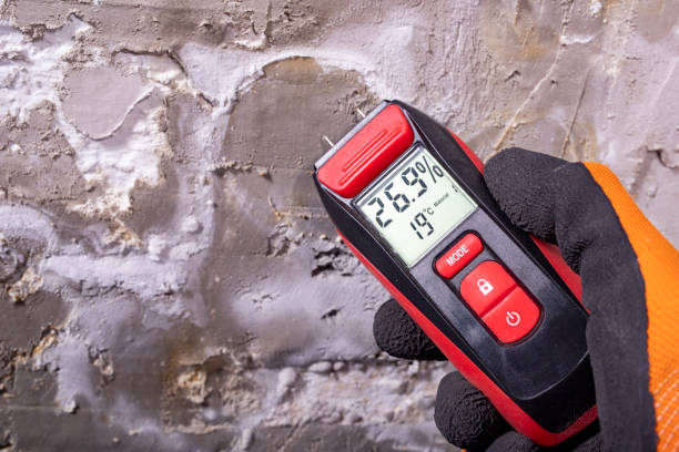 Best Bathroom Mold Remediation in Doney Park, AZ