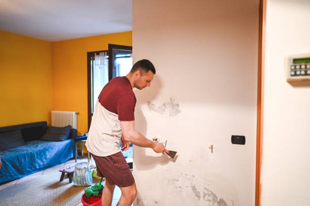 Best Attic Mold Remediation in Doney Park, AZ